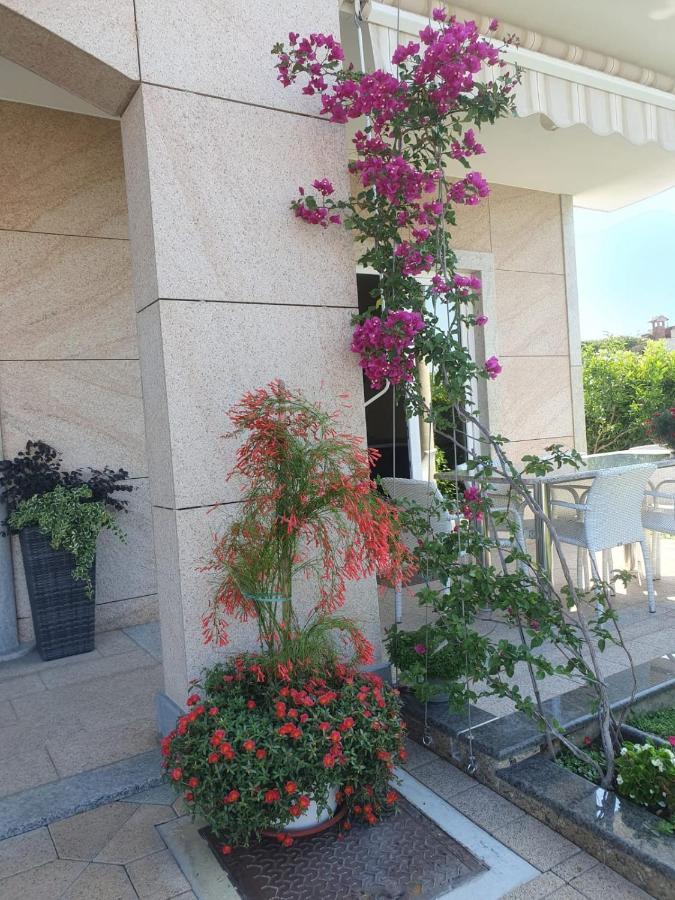 Villa Maric Baška Voda Εξωτερικό φωτογραφία
