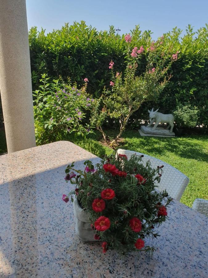 Villa Maric Baška Voda Εξωτερικό φωτογραφία